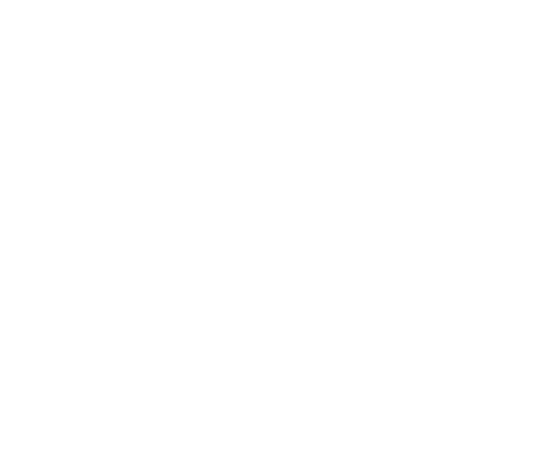 VanguardSoft